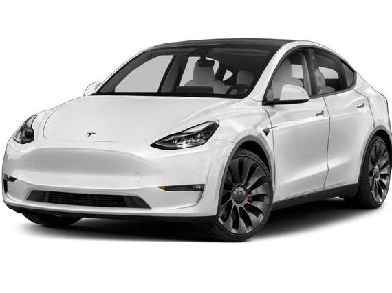 TESLA MODEL Y 2021 5YJYGDEE7MF117897 image